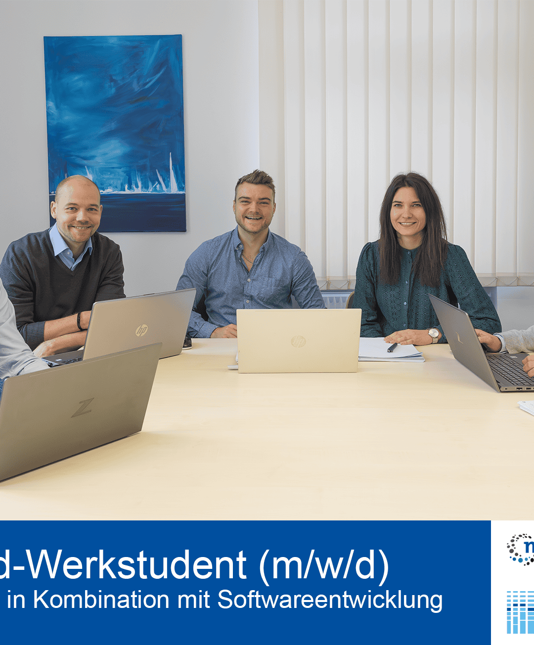 Masterand-Werkstudent (m/w/d) Ingenieurwesen in Kombination mit Softwareentwicklung